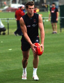 130121_Strauss_M.jpg